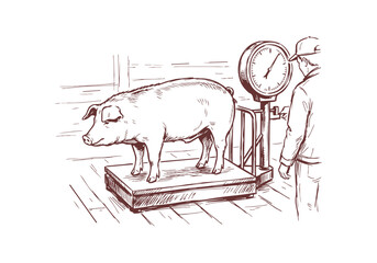Landrace Pig Collection with Farmer and Piglets in Farm Hand Drawn Rough Sketch Vector Illustration © Az to Design
