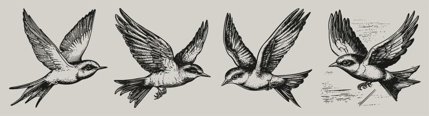 Fototapeta premium A detailed vintage-style set of four black and white bird illustrations showcasing swallows in flight, emphasizing motion, elegance, and natural beauty perfect for art or nature themes.