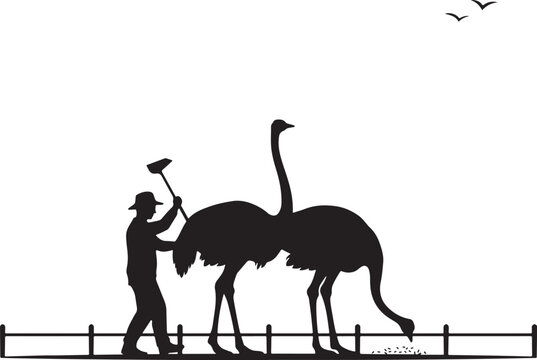 silhouette Man feeding ostrich with shovel beside fence and flying birds