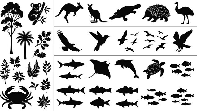 Australian wildlife and nature vector silhouettes set featuring native land animals birds marine life fish and botanical elements