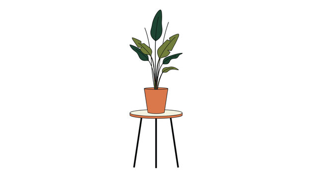 Large green leafy plant in a terracotta pot standing on a minimalist three legged round side table isolated on white background.