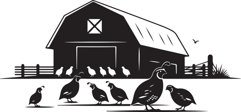 Black and white farm scene with quails and barn birds