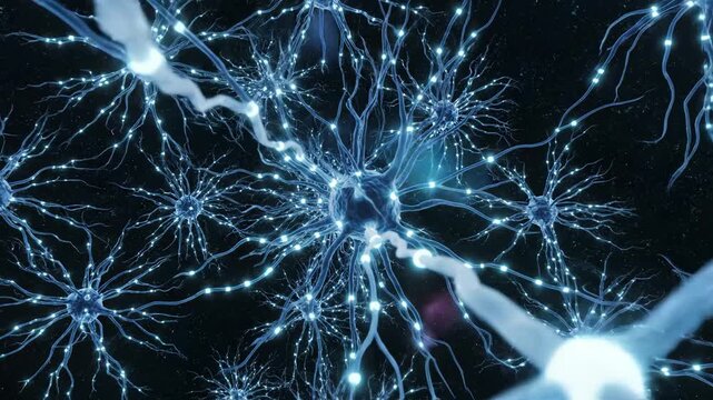 Neurons in a neural network