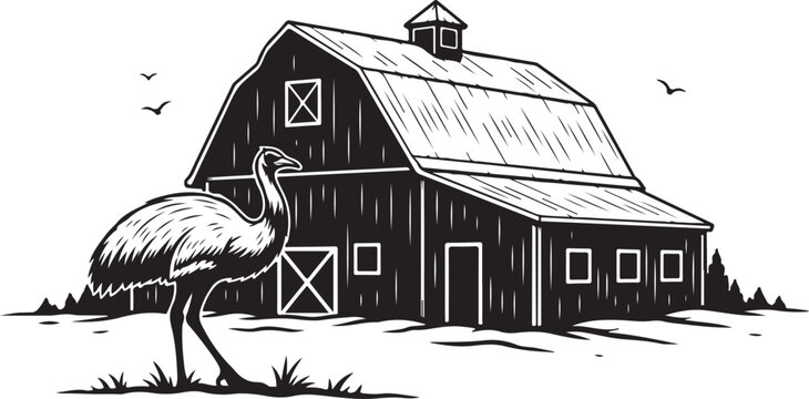 Black and white of ostrich standing in front of barn farm