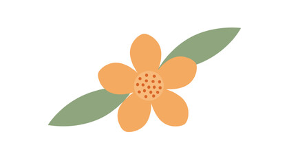 Fototapeta premium Simple orange five-petaled flower with a dotted center and two green leaves on a plain white background for floral.