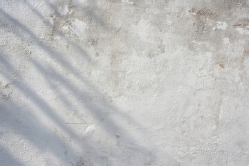 Obraz premium The wall with soft palm shadows and textured white plaster showing weathered details