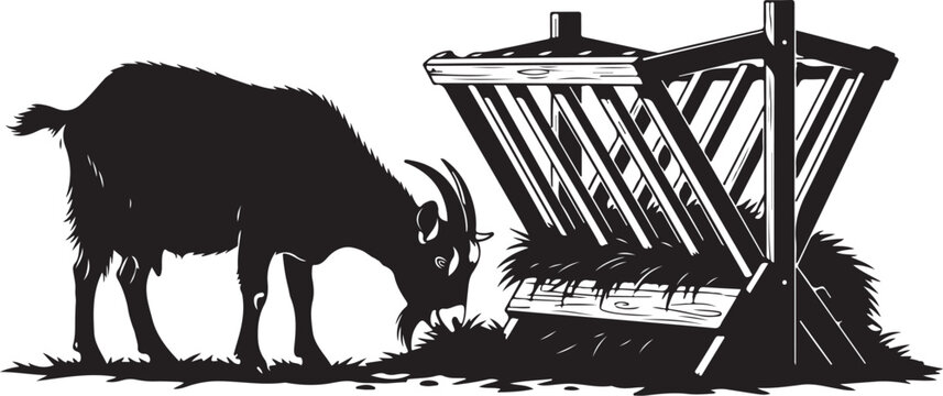 Black silhouette goat eating from hay feeder feeding trough