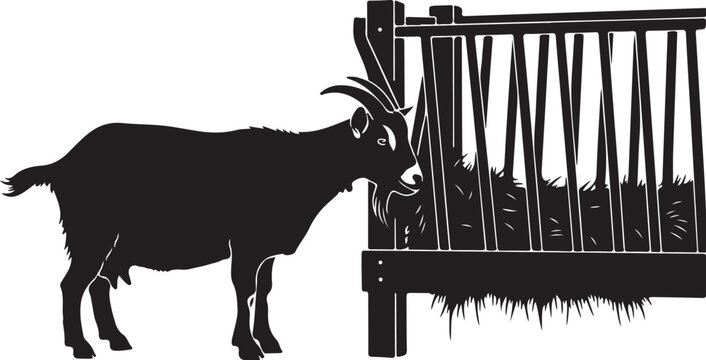 Black silhouette goat eating from hay feeder feeding trough