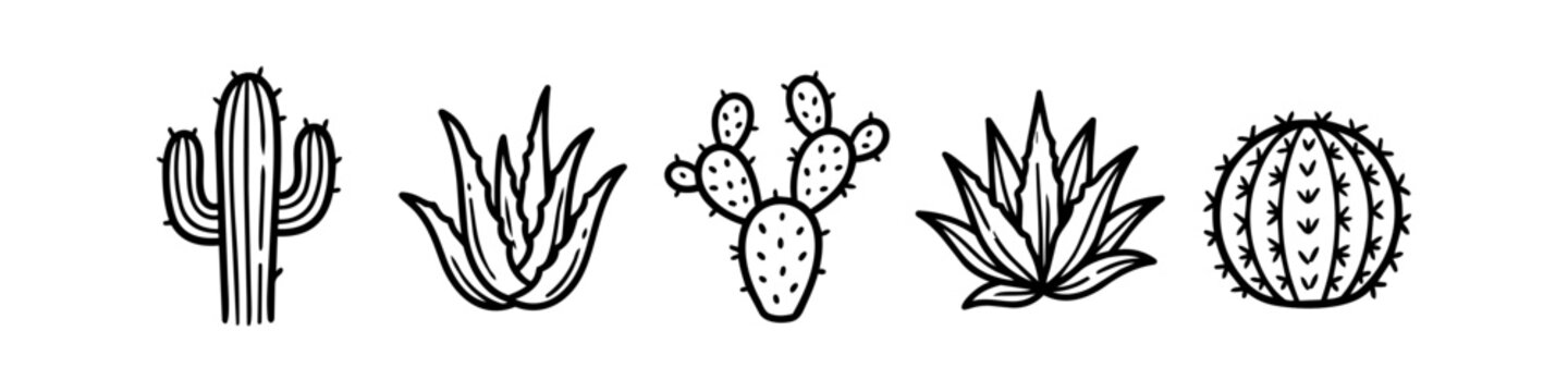 Cactus and Succulent Hand-Drawn Outline Icon Set
