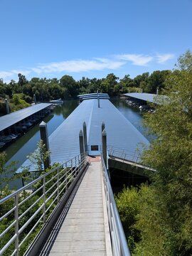 bridge over the river