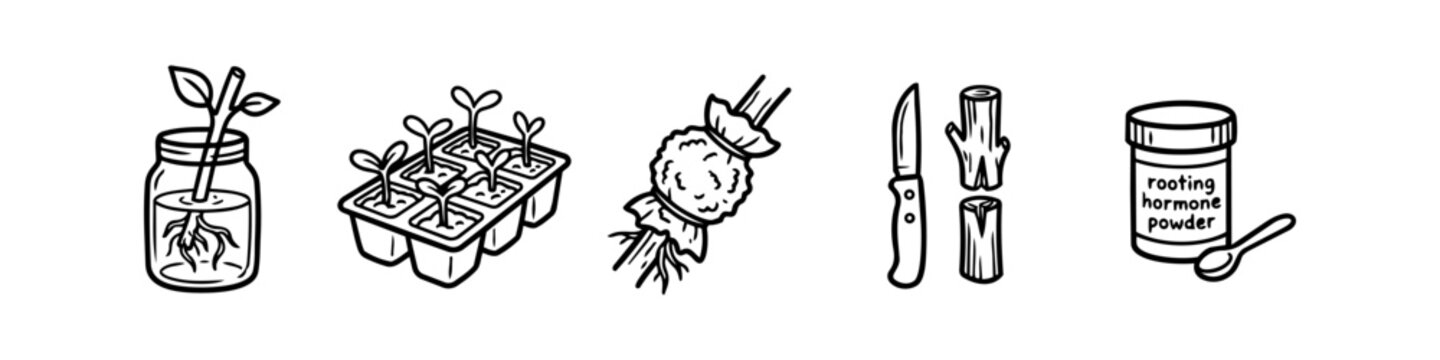Plant Propagation Methods Hand Drawn Icon Set