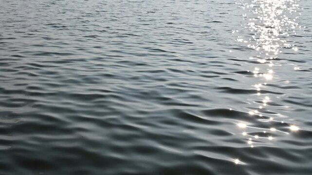 Sunlight reflecting on water flowing. Water moves primarily due to gravity, pressure differences, thermal energy, and osmosis.