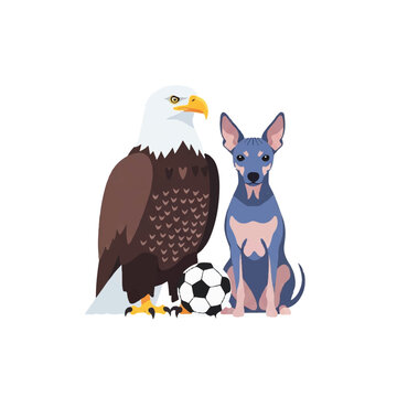 A minimalist flat vector artwork of a bald eagle and a xoloitzcuintli dog sitting side-by-side with a soccer ball between them, using only five solid colors. Absolute solid block colors,
