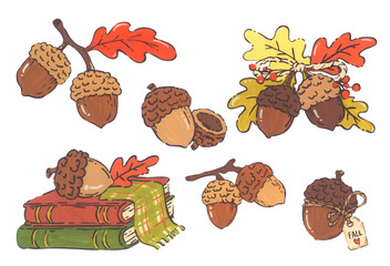 Acorn hand drawn illustration set, autumn oak nut collection with leaves, cozy thanksgiving harvest decor, warm forest nature mood, vintage pattern card graphic design © Khaneeros