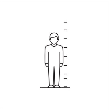 Person standing next to a height measurement scale