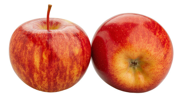 Two ripe red and yellow apples with stems