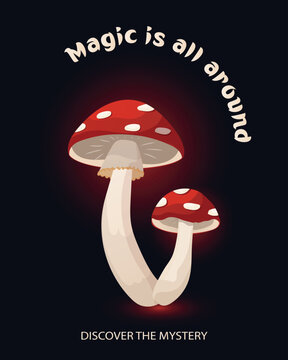 Red fly amani mushroom poster design on dark background. Toadstool card with copy space