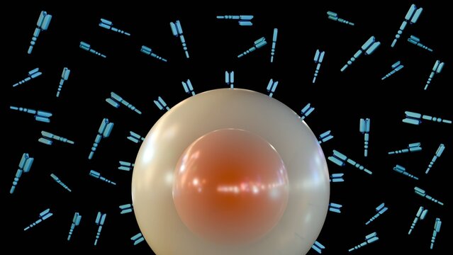 A 3D rendering of CAR-T cell as a spherical structure with a translucent outer membrane and a core. Numerous Y-shaped chimeric antigen receptors (CAR) floating or anchoring into its surface.