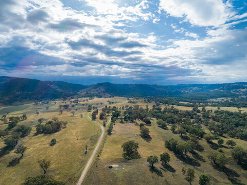 rural Australian farming landscape with farmhouse among gum trees and wind turbines on horizon