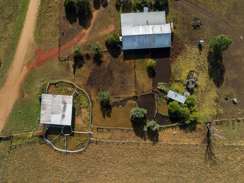 overhead top down view of empty farm yard with fences and shearing shed
