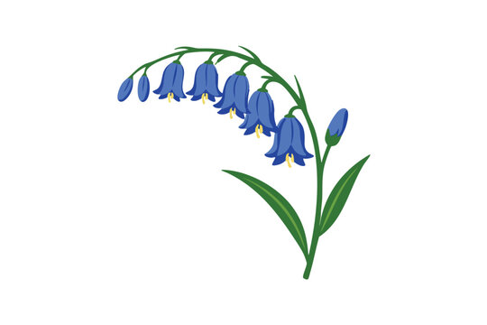 Delicate bluebell flower stem illustration isolated on white background with bluebell, botanical