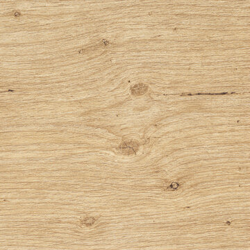 Natural light oak wood grain texture surface with knots for background and design use