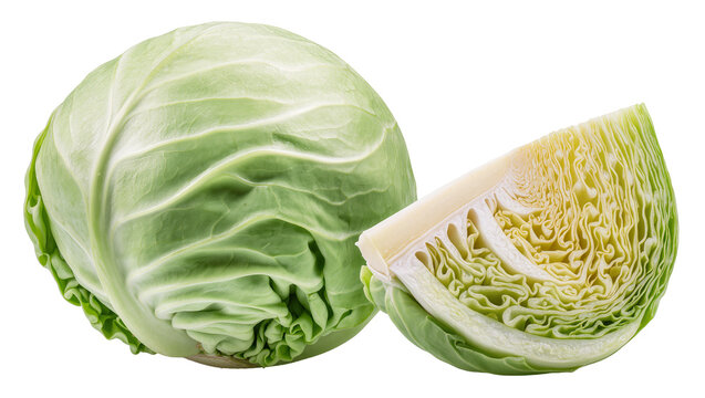 Fresh green cabbage head and slice showing layered texture