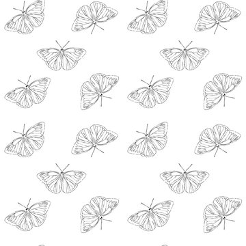 Hand drawn Line art Seamless butterfly pattern vector with watercolor style. Light nature repeat background for textile, wrapping and surface design.