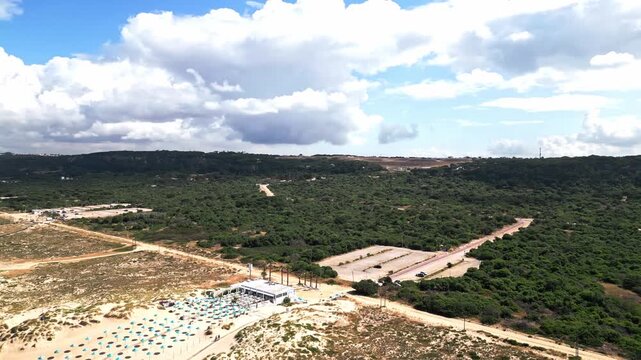 Aerial view of sandy beachside with umbrellas and coastal vegetation under clouds