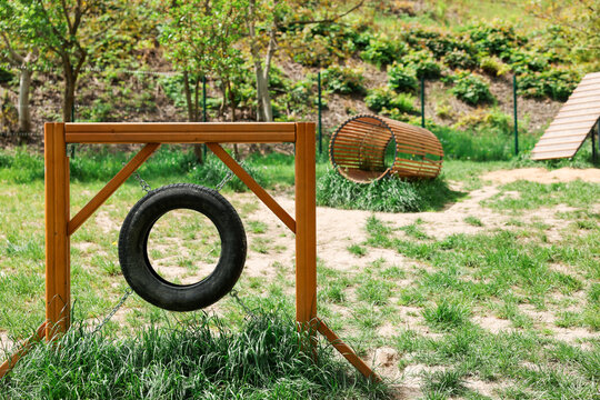 Jump tire at training ground in dog park