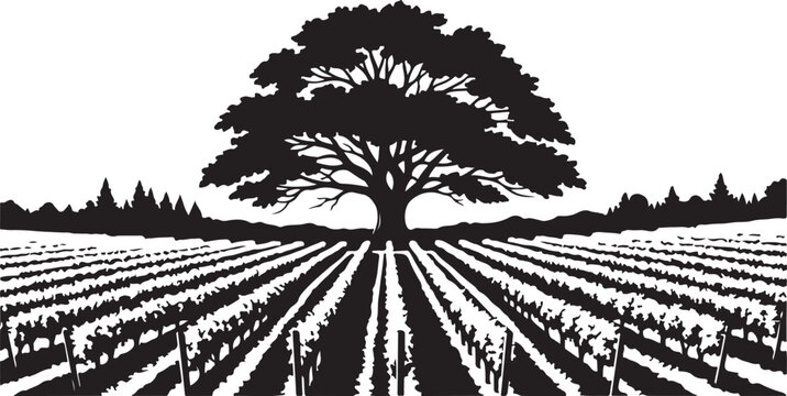 Black silhouette of tree in vineyard rows crops field
