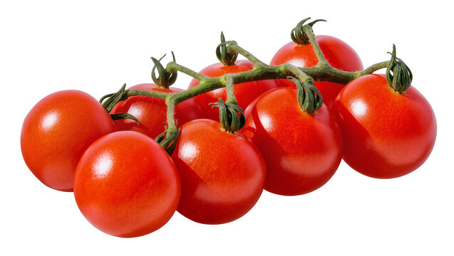 Ripe red cherry tomatoes on vine