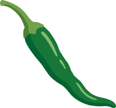 Fresh green chili pepper with stem vector flat illustration