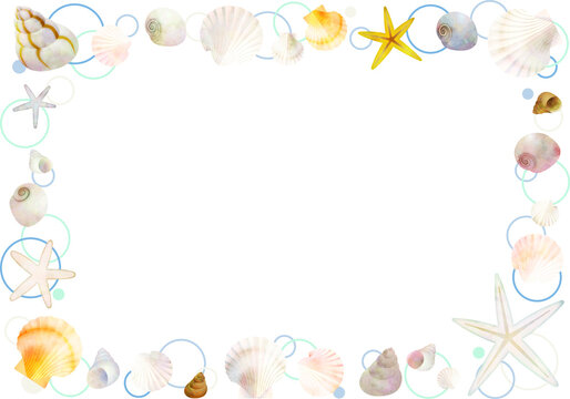 Seashell frame