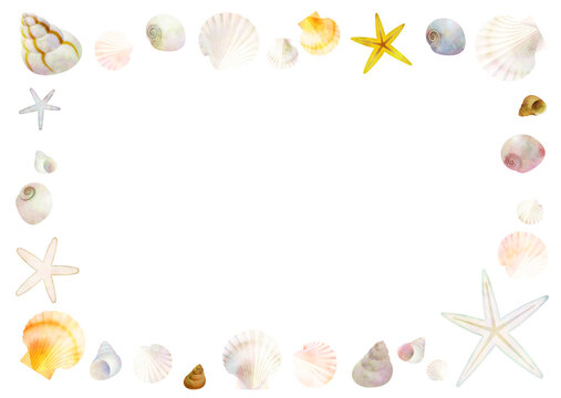 Seashell frame