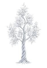 Obraz premium Hand drawn illustration of a twisted olive tree with detailed leaves