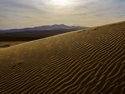 Sand dunes of Elsen Tasarkhai, Bulgan Aimag, Bulgan Province, Mongolia