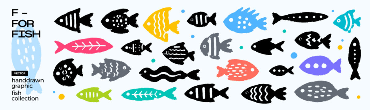Collection of colorful, stylized, cartoon fish illustrations, featuring various patterns and designs, in a flat graphic style. Perfect for educational materials, children's themes, and decorative art.