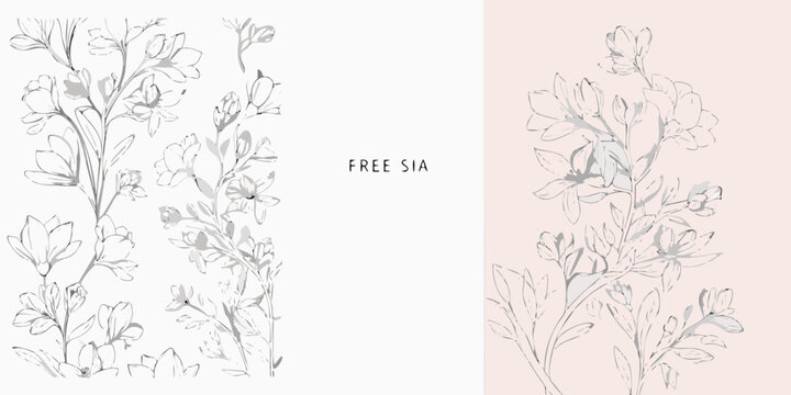 Hand Drawn Freesia Flower Collection Featuring Gray Scale Botanical Illustration