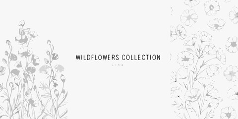 Fototapeta premium Gray wildflower collection delicate line art illustration on a white background