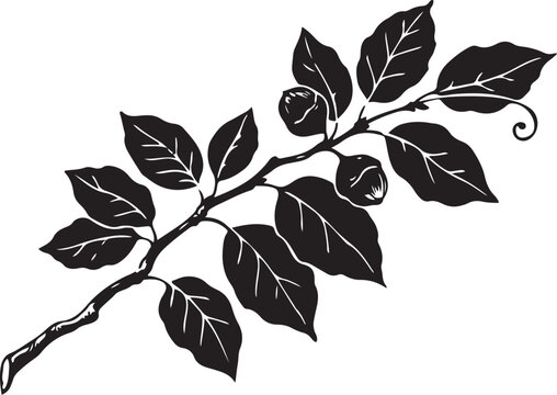 Black silhouette of a leafy branch with white vein details