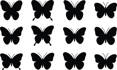 Twelve Black Butterfly Silhouettes with Intricate Wing Patterns on White butterflies insect © Gibon