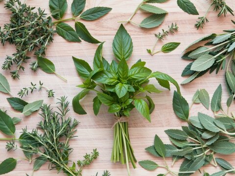 Fresh assorted culinary herbs on wooden cutting board