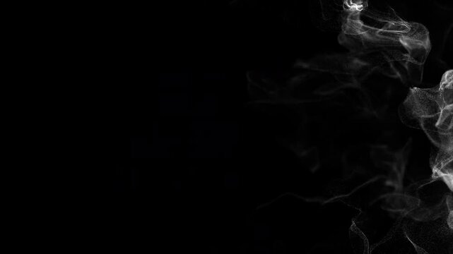 Atmospheric White Fog Sweep Overlay