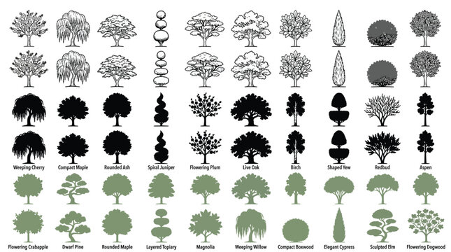 Set of various tree silhouettes and icons for landscape design and architectural projects