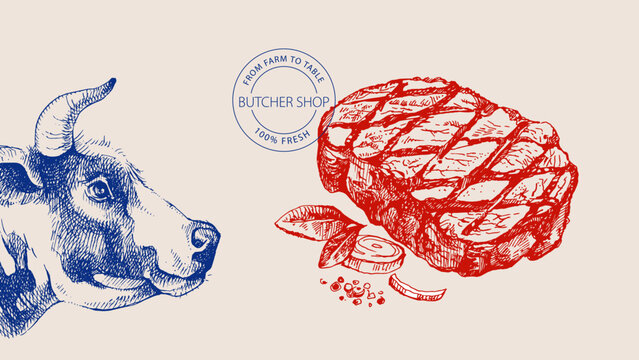 Hand drawn sketch meat butcher shop poster. Vector vintage collage illustration. Menu poster, packaging design banner