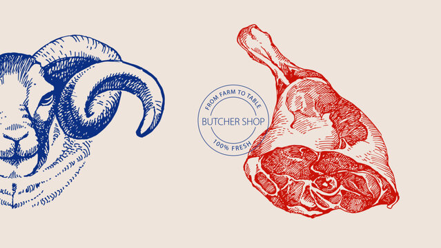 Hand drawn sketch meat butcher shop poster. Vector vintage collage illustration. Menu poster, packaging design banner