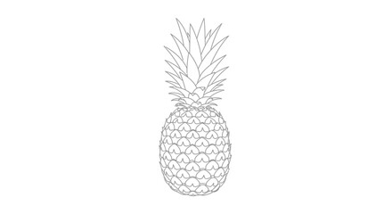 Obraz premium Pineapple Fruit Isolated on White Background.
