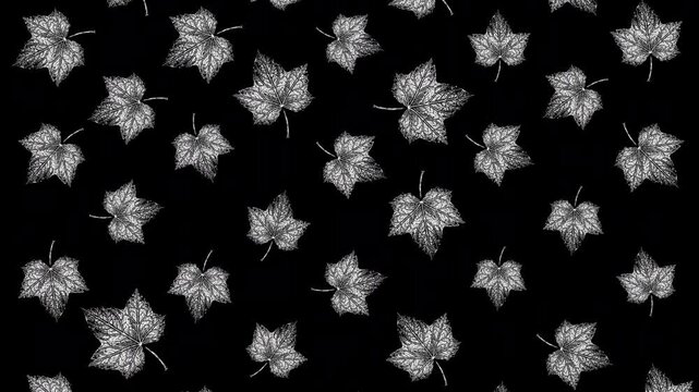 Seamless looping monochrome maple leaf pattern animation with detailed engraved botanical illustrations on a black background. Elegant nature inspired motion graphic for backgrounds and overlays.