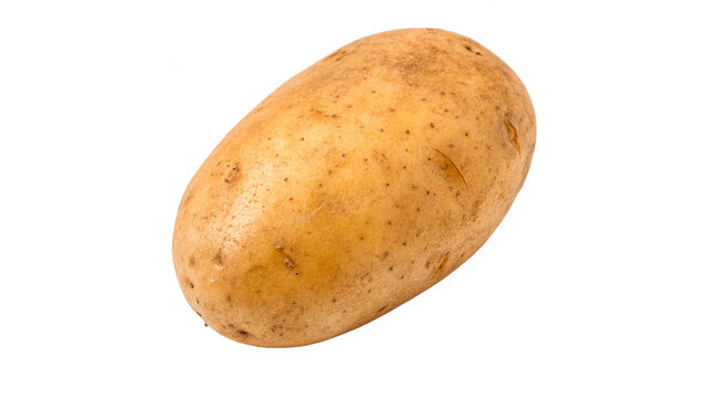 Single raw unpeeled fresh organic potato tuber close up isolated on transparent background